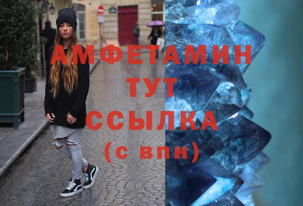 шишки Беломорск