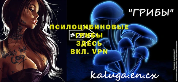 соль ск Балабаново